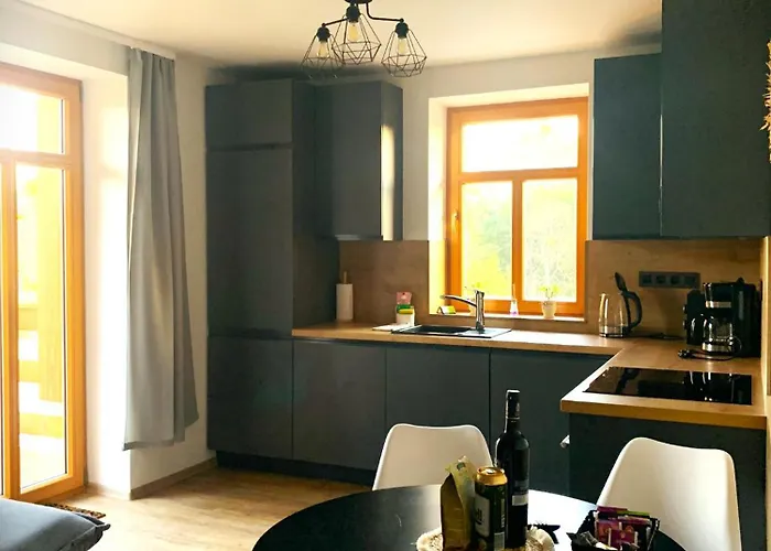 Pohoda Na Hurce Apartament Horní Planá